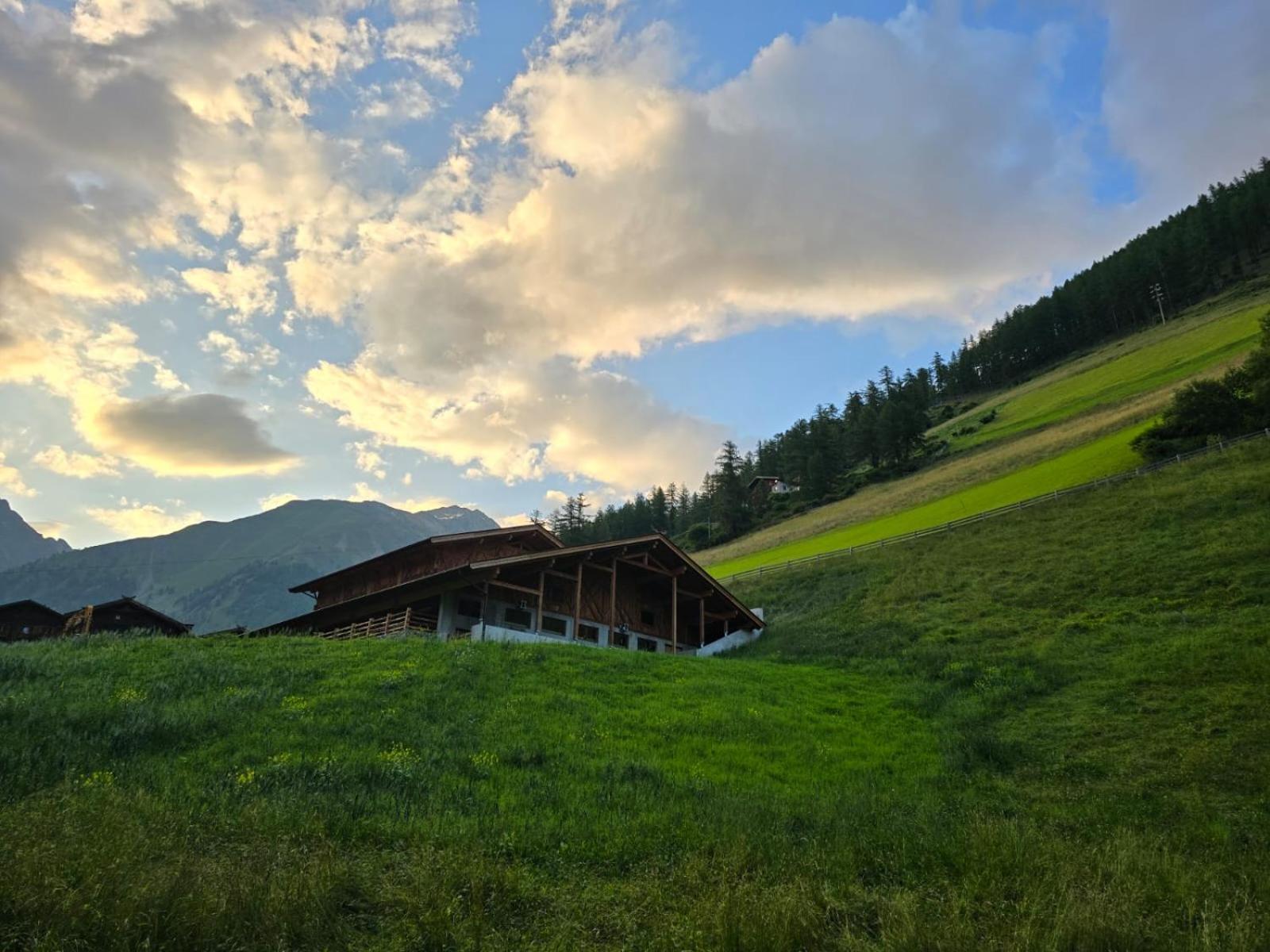 Smart Hotel Firn Madonna (Trentino Alto Adige) Exterior foto