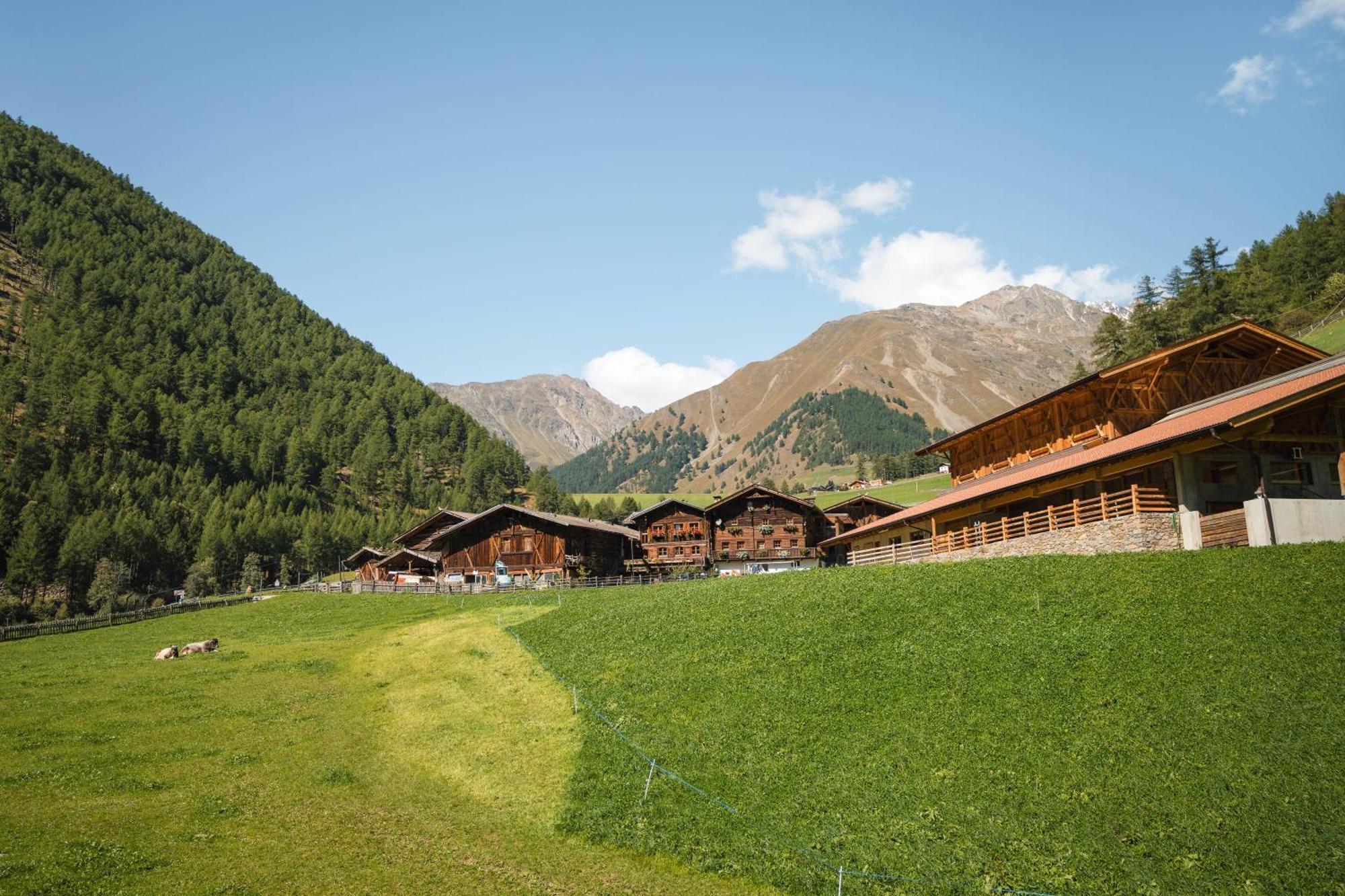 Smart Hotel Firn Madonna (Trentino Alto Adige) Exterior foto